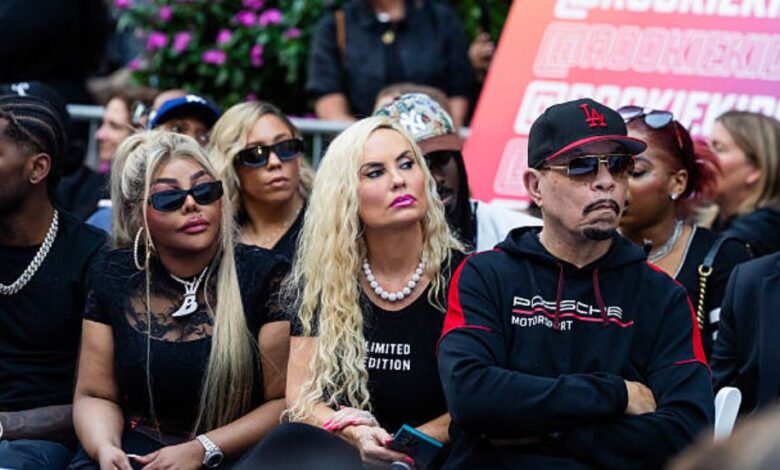 ice t net worth