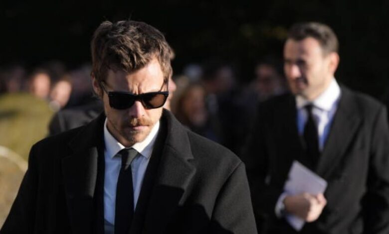 Harry Styles net worth