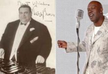 teddy brown