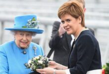 nicola elizabeth frost net worth